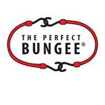 The Perfect Bungee